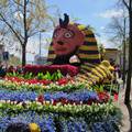 Haarlem, Holland Flowerfestival