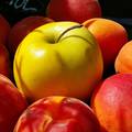 Kajszibarack,golden alma,gyümölcs