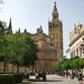 Sevilla-Spain