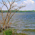 Tatai Öreg-tó,Fotó:Szolnoki Tibor