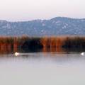 Magyarország, Velencei-tó