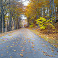 A Pap-rétre vezető út ősszel, Pilis