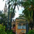 Sevilla-SPAIN, Jardines del Real Alcazar