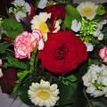 Haarlem-Holland, Anniversary bouquet