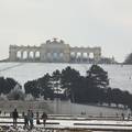 Schönbrunni kastély parkja télen, Bécs