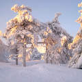Skandináv tél