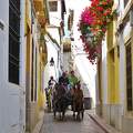 CÓRDOBA-SPAIN