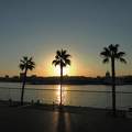 MALAGA naplemente a kikötőben
