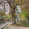 Budapesti Állatkert ősszel