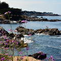 Monterey,California,USA