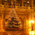 Budapest Operaház karácsonyfája