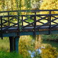 híd ősszel