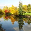 ősz ,folyó,tükröződés,