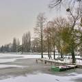 2016.01.02. Tata,Cseke-tó, Fotó: Szolnoki Tibor