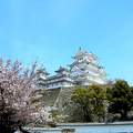 Japán, Fehér kócsag várkastély