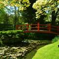 Irish National Stud and Japanese Gardens
