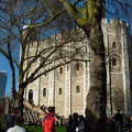 London, Tower