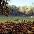 ősz, napsütés, Tisza-part, magyarország