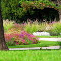 Park