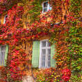 ablak, ősz