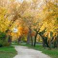 ősz, út, Balatonalmádi, magyarország