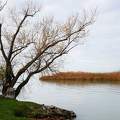 A Balaton őszülőben