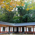 Changdeokkung palota, Szöul
