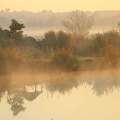 Ceglédbercel - tó - hajnali pára