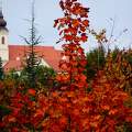 Tihanyi Belső tó, őszi színek.
