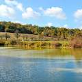 Kikerics tó és ősz