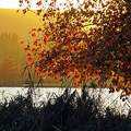Balatonalmádi ősz naplemente