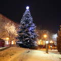Szolnok Kossuth tér - karácsonyfa