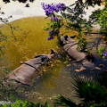 ZOO de Lisboa