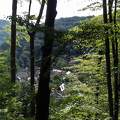 Miskolc, Bükk hegység, kilátás a lillafüredi kisvonatból a hámori völgyre