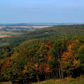 Bakony, erdő, ősz, magyarország