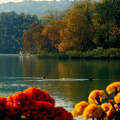 Balatonalmádi, partrészlet, ősz, magyarország