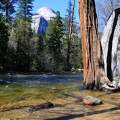 Merced folyó, Yosemite NP, California, USA