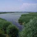 Tisza-tó Poroszló