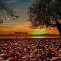 Őszi naplemente Balatonfűzfőn