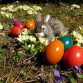 Kellemes húsvéti ünnepet kívánok mindenkinek.