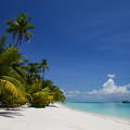 Maldív szigetek : Meeru Island