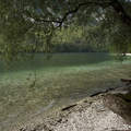 Bohinji tó, Szlovénia