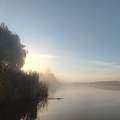 Ködös reggel a Holt Tiszán