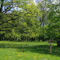 Csehország, Veselí nad Moravou, park tavasszal