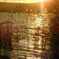 Aranyló naplemente, Balatonfűzfő