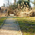 Februári séta a Kámoni Arborétumban - Szombathely