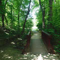 Híd a Völgyikút parkban, Veszprém