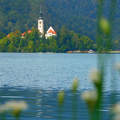 Bledi-tó,  Bledi sziget, Szűz Mária búcsújáró templom, Szlovénia