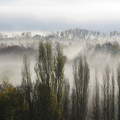 Ősz, köd, november