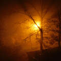 Hajnali köd